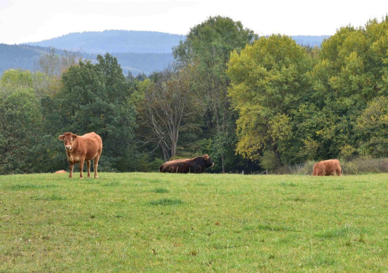 Ferienhaus Vulkaneifel Kopp Exterior foto